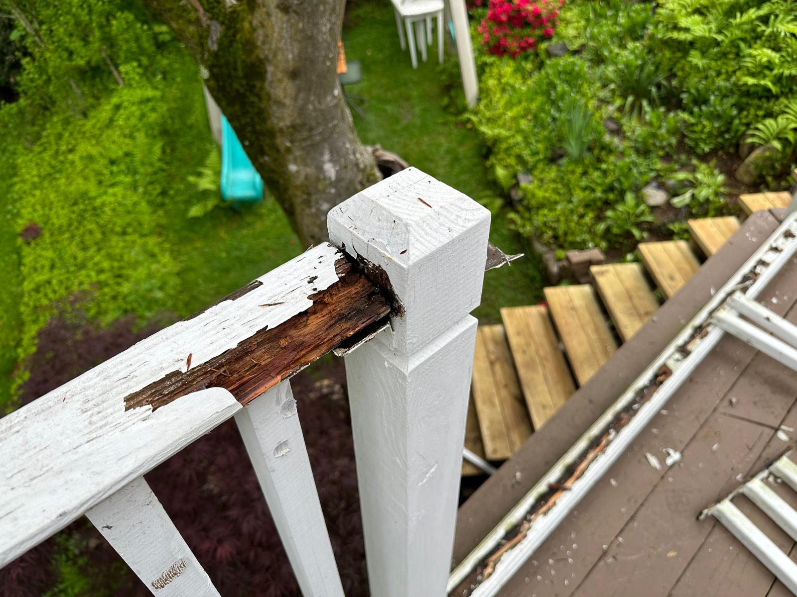 Solid Stained Deck - Image 5